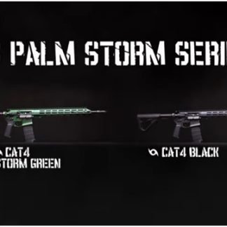 US Palm Storm and EOS Series Make Landfall (.99